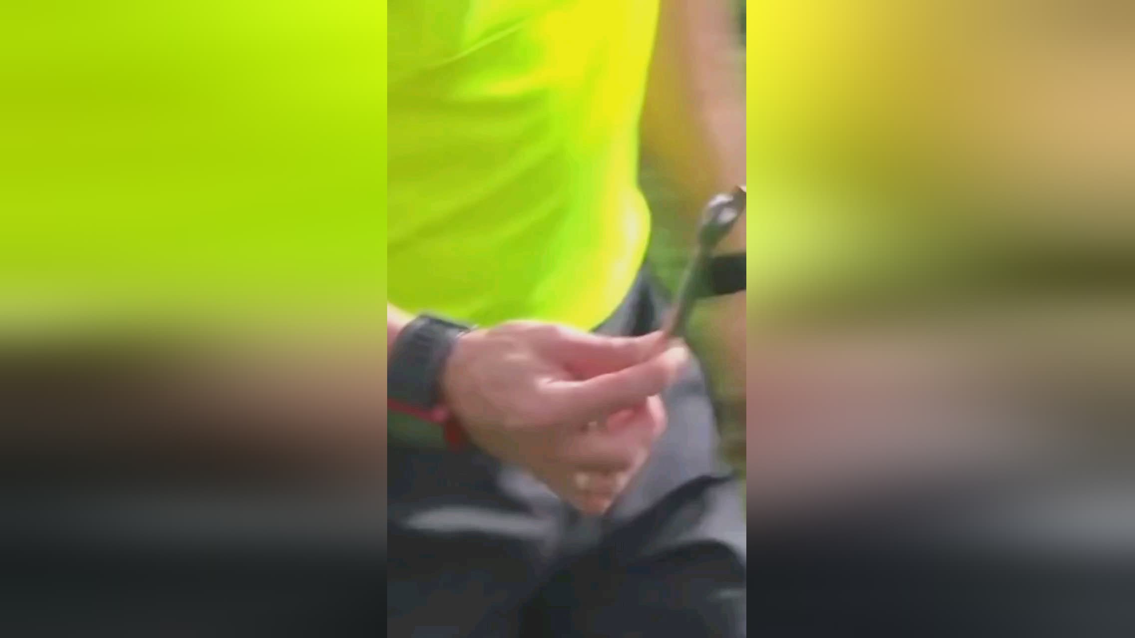 一个崭新的